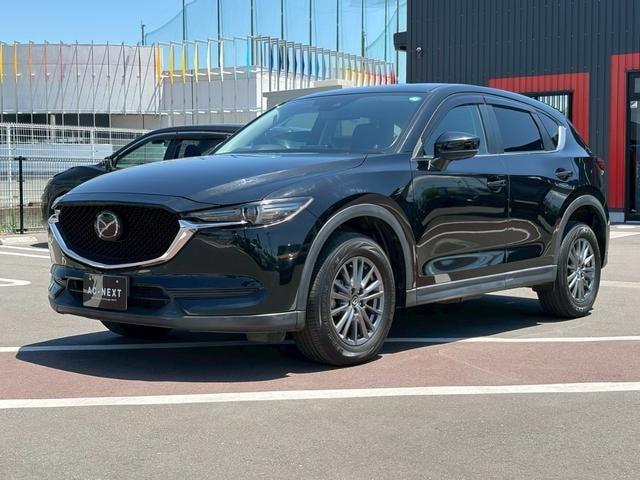 Миниатюра 28