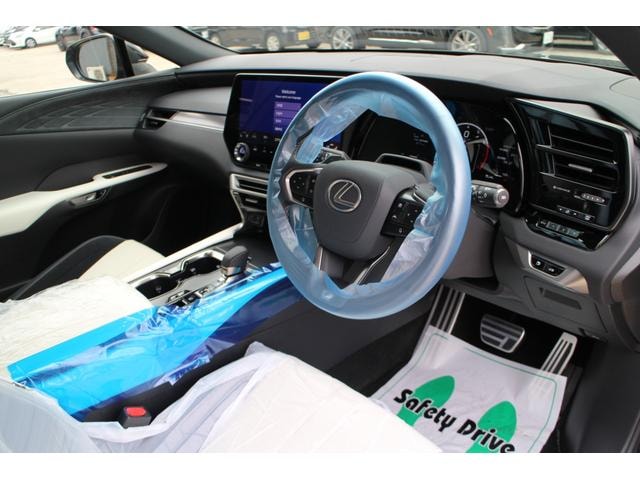 Миниатюра 34