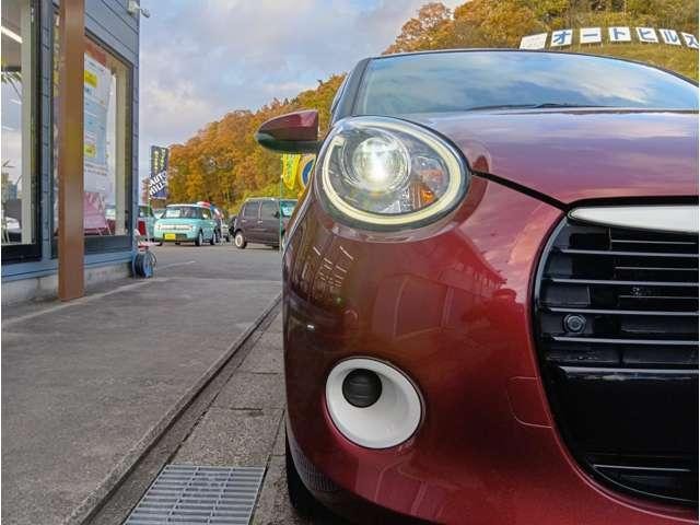 Миниатюра 57