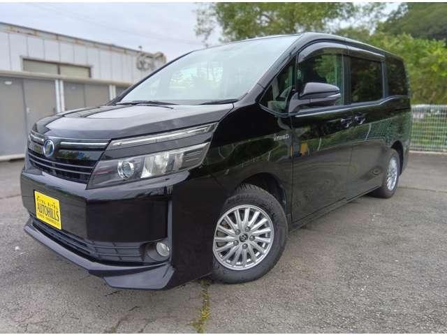 Миниатюра 62