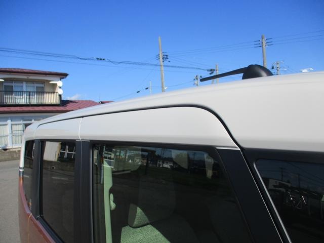 Миниатюра 55