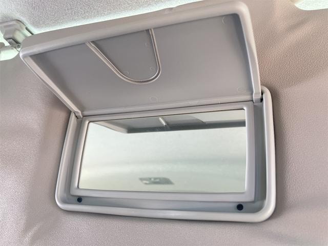Миниатюра 33