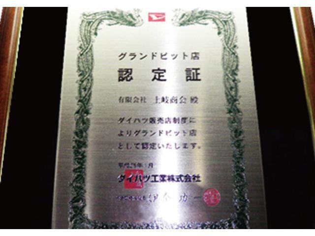 Миниатюра 41