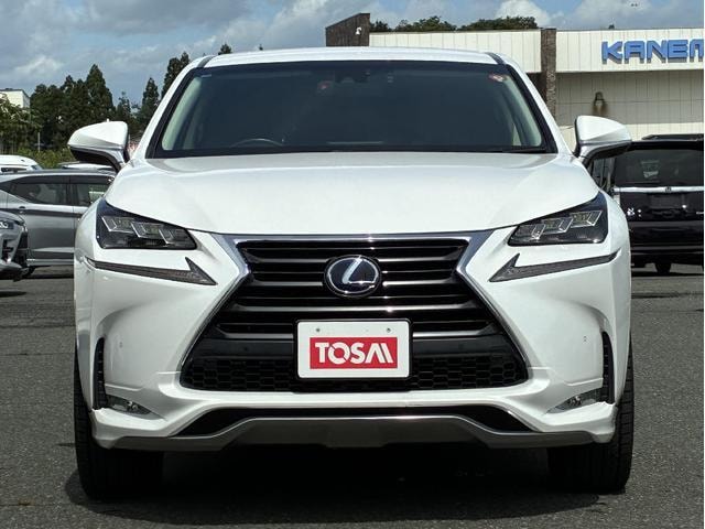 Lexus NX 2016 — фото автомобиля 1