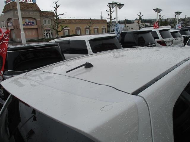 Миниатюра 48