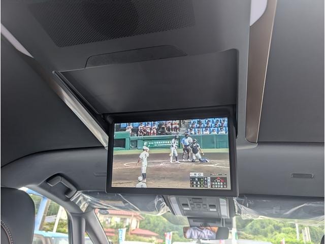Миниатюра 14