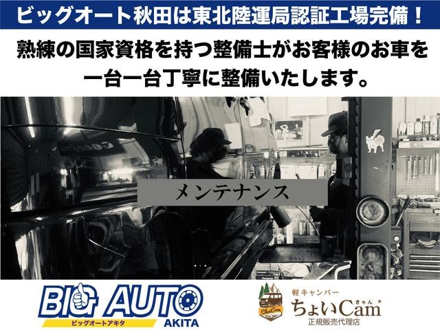 Миниатюра 55