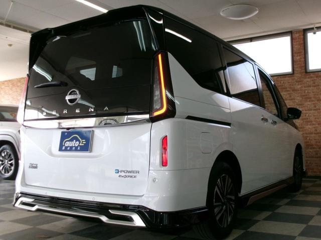 Миниатюра 65