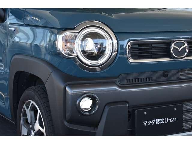 Миниатюра 17
