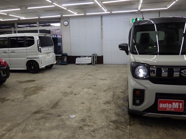 Миниатюра 53