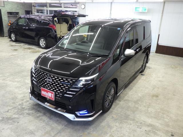 Миниатюра 65