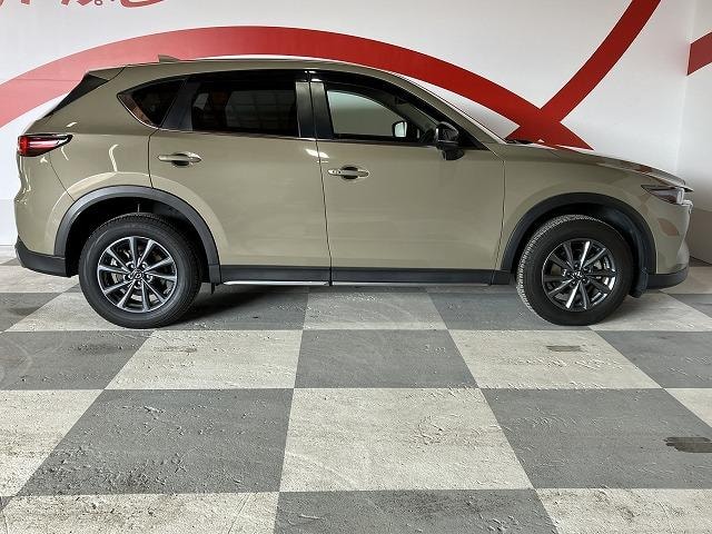 Миниатюра 14