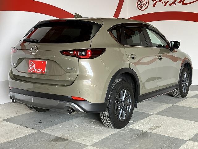 Миниатюра 15