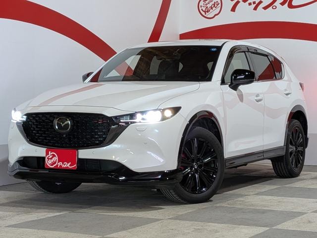 Миниатюра 13