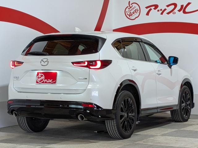 Миниатюра 17