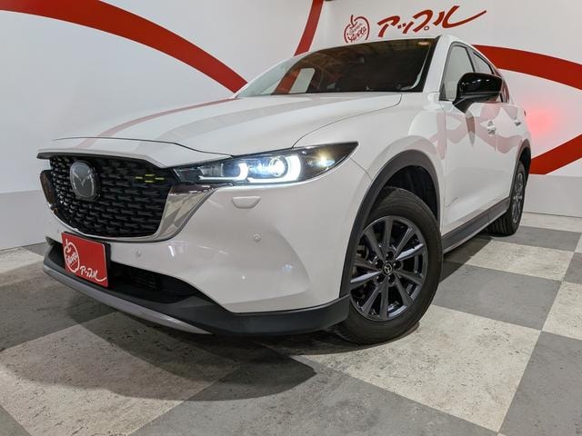 Миниатюра 12