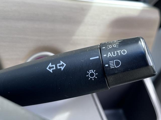 Миниатюра 22