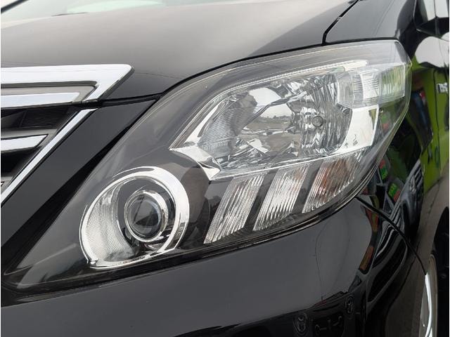 Миниатюра 13
