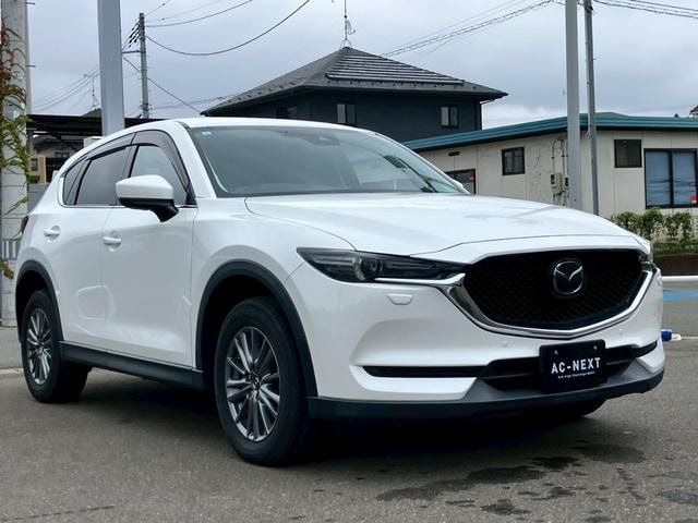 Миниатюра 17