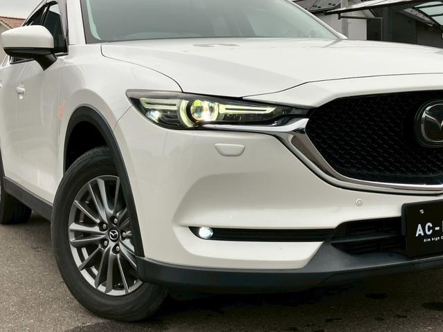 Миниатюра 30