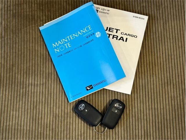 Миниатюра 66