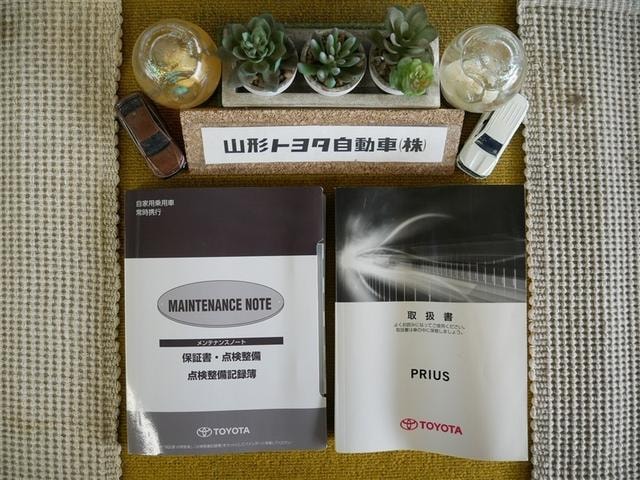 Миниатюра 31