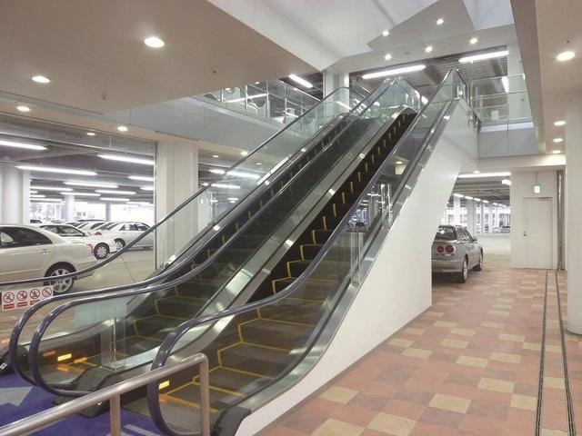 Миниатюра 66