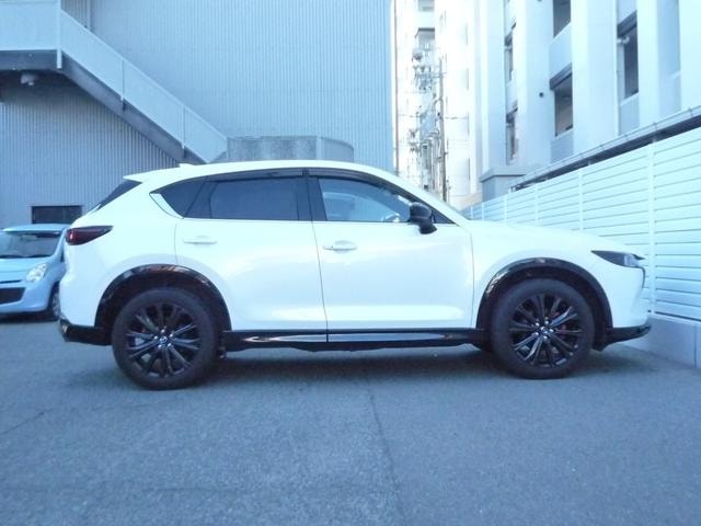 Миниатюра 9