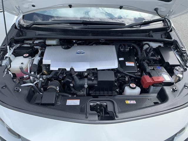 Миниатюра 51
