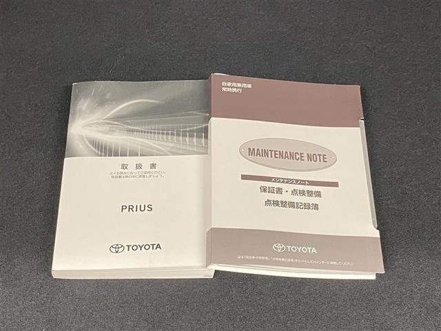 Миниатюра 31
