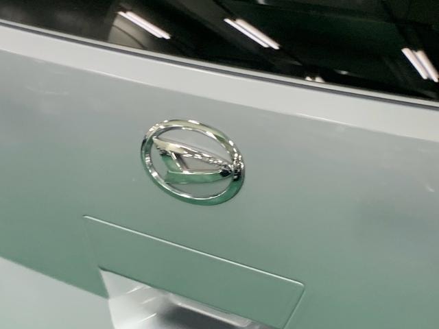 Миниатюра 38