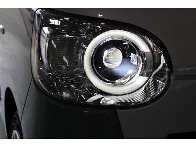 Миниатюра 44