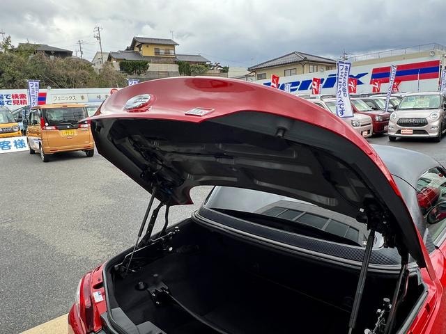 Миниатюра 46