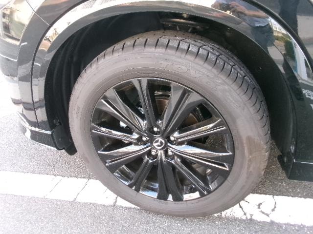Миниатюра 19