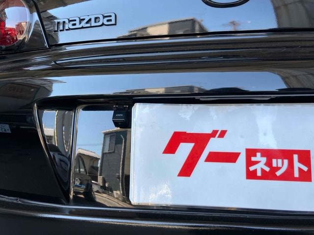 Миниатюра 22
