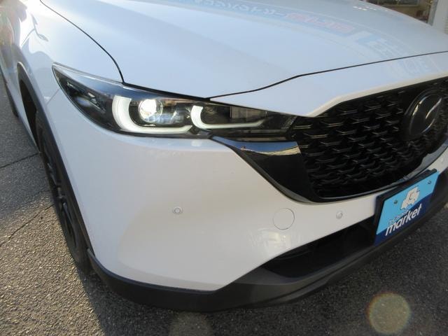 Миниатюра 31