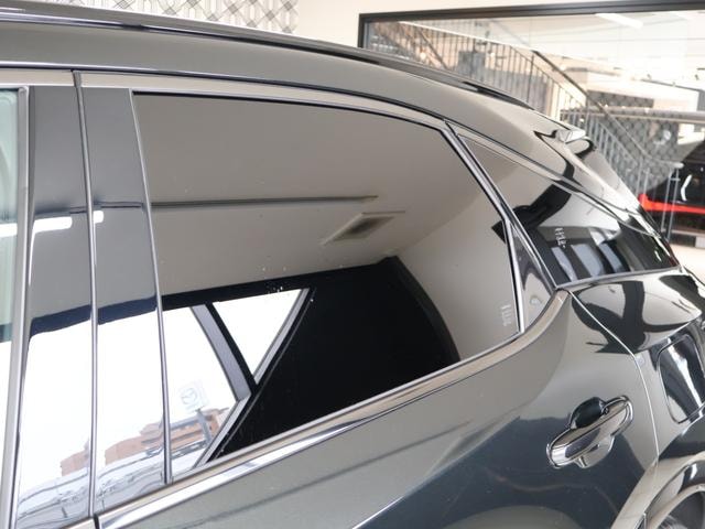 Миниатюра 55