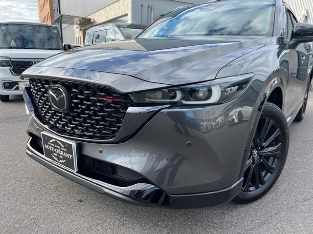 Миниатюра 18