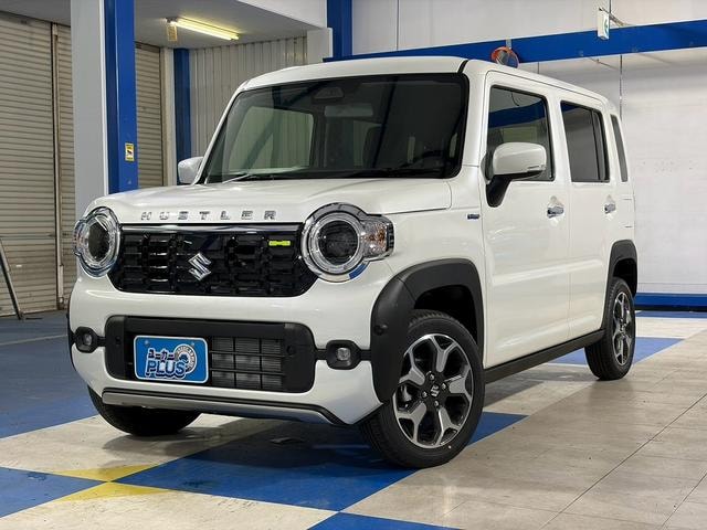 Миниатюра 17