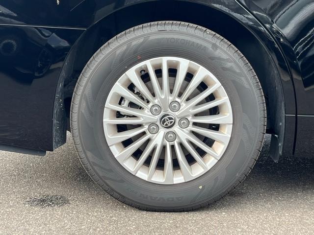Миниатюра 34