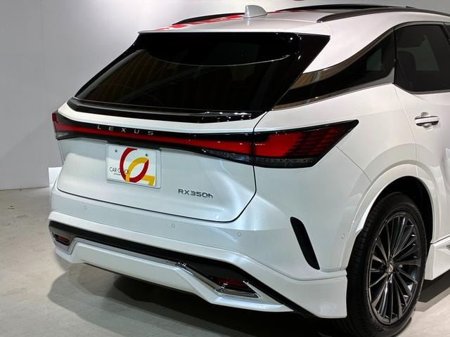 Миниатюра 15