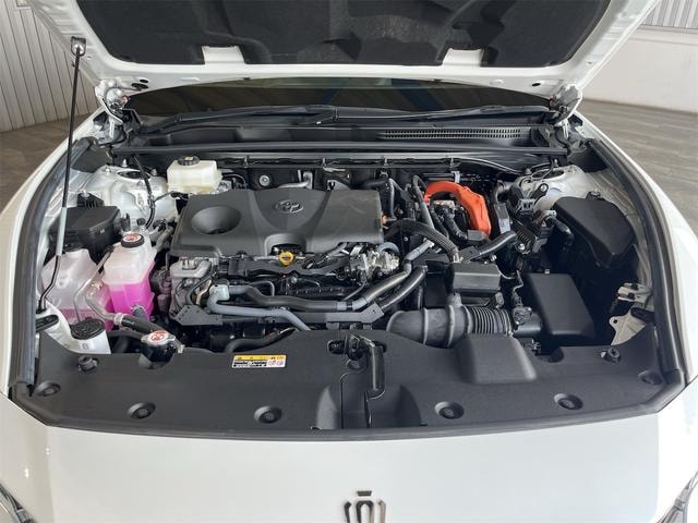 Миниатюра 59