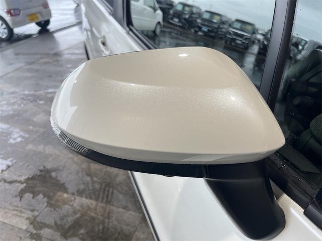 Миниатюра 31