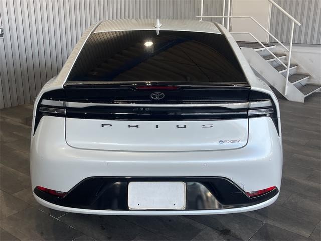 Миниатюра 30