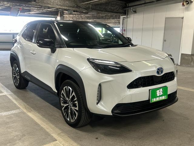 Миниатюра 10