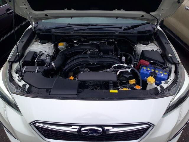 Миниатюра 19