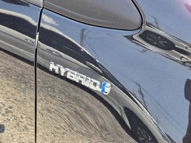 Миниатюра 12