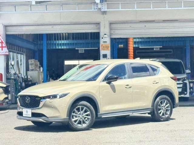 Миниатюра 9