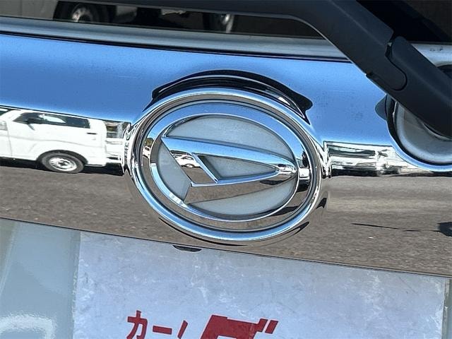 Миниатюра 28