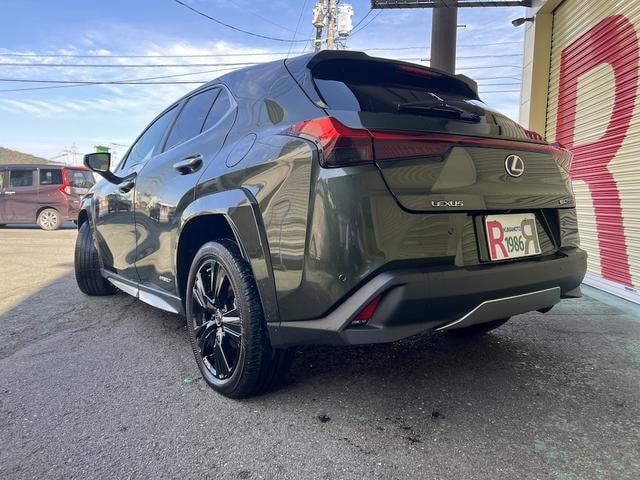 Миниатюра 7